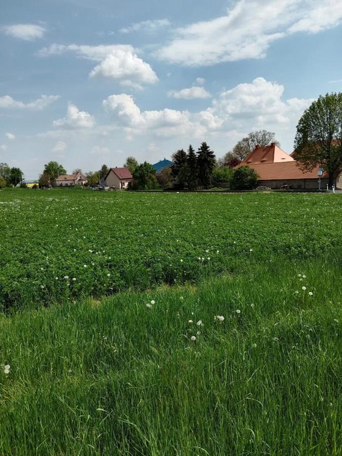 U Dedy Apartment Dlazkovice