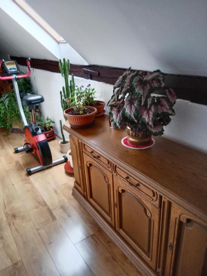 U Dedy Apartment