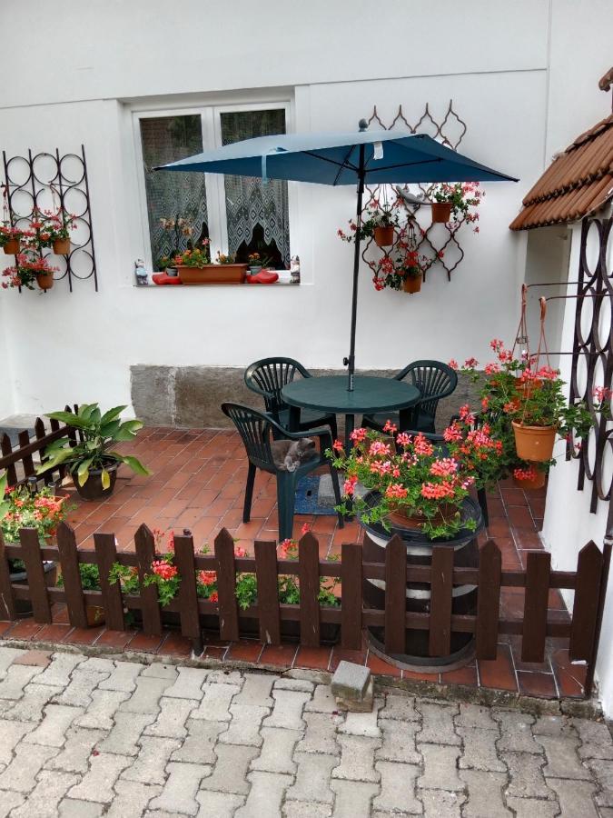 U Dedy Dlazkovice